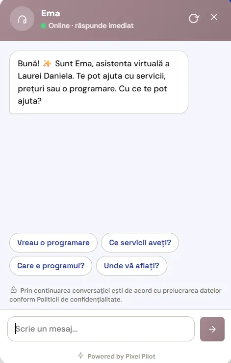 Integrare Chatbot pentru Website
